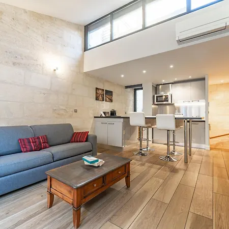 דירה Superbe Duplex En Hypercentre Avec Rooftop Et Climatisation בורדו