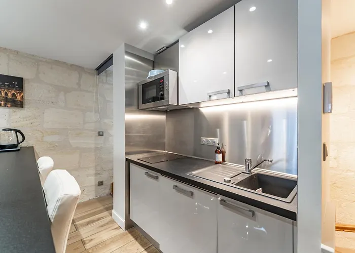 Superbe Duplex En Hypercentre Avec Rooftop Et Climatisation * בורדו