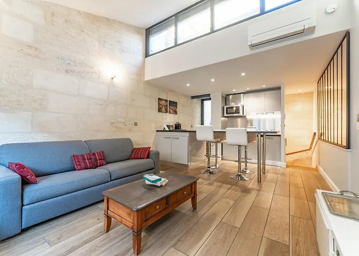 Appartement Superbe Duplex En Hypercentre Avec Rooftop Et Climatisation Bordeaux