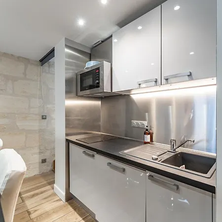 Superbe Duplex En Hypercentre Avec Rooftop Et Climatisation * Bordeaux